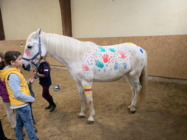 Foto: Isabel Obleser