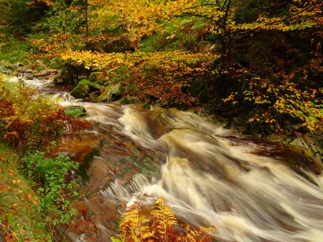 Allerheiligen-Wasserfälle, Bild 4