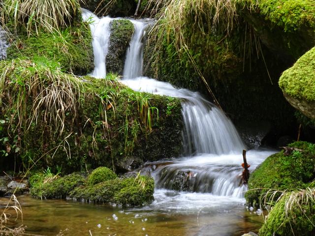 Gaishöll, Sasbachwalden, Bild 3