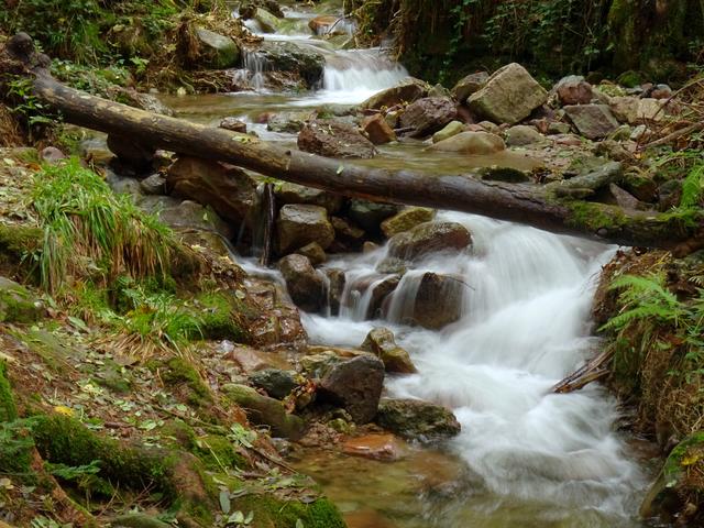 Edelfrauengrab, Ottenhöfen Bild 1