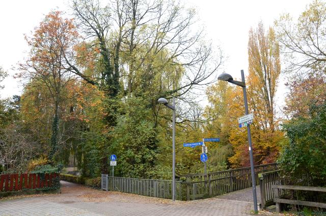 In der Großherzog-Friedrichstraße beginnen die Baumarbeiten mit dem sogenannten Sicherungsschnitt im Kronenbereich. | Foto: Stadt Kehl