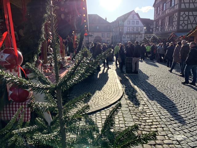 Foto: Isabel Obleser 