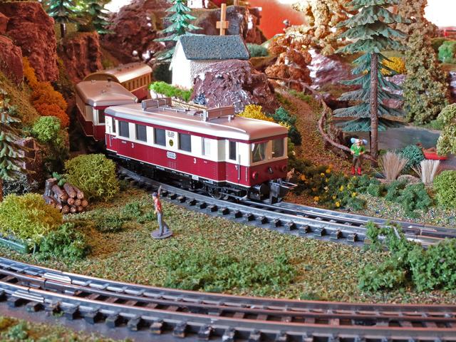 Aus der Schlucht heraus kommend.
Der Triebwagen in beige/roter Farbe gehörte in den 1930er Jahren der Deutschen Reichsbahn und wurde für den  Personenverkehr auf Nebenbahnen überwiegend in Sachsen und Bayern eingesetzt.
16 Fahrzeuge wurden nach dem Krieg von der Deutschen Bundesbahn übernommen.
 | Foto: Alfred Schramm