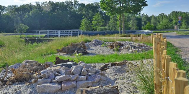 Der neue Lebensraum der heimischen Zaun- und Mauereidechsen entspricht den empfohlenen Anforderungen. Das Gebiet wurde durch Sand, Steine und Totholz ökologisch aufgewertet.  | Foto: Stadt Kehl