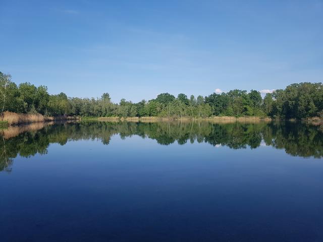 Leutesheim | Foto: UB