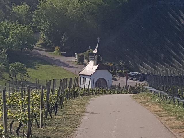 Weinberge Durbach | Foto: UB