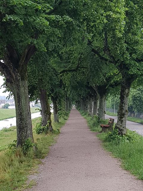 Renchdamm Oberkirch | Foto: UB