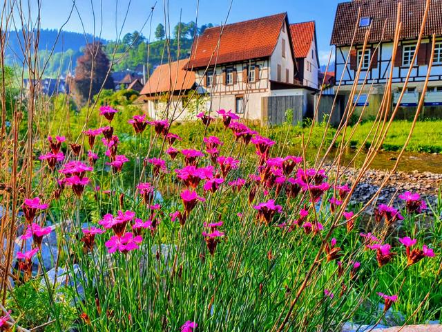 Vogtsbauernhof | Foto: UB