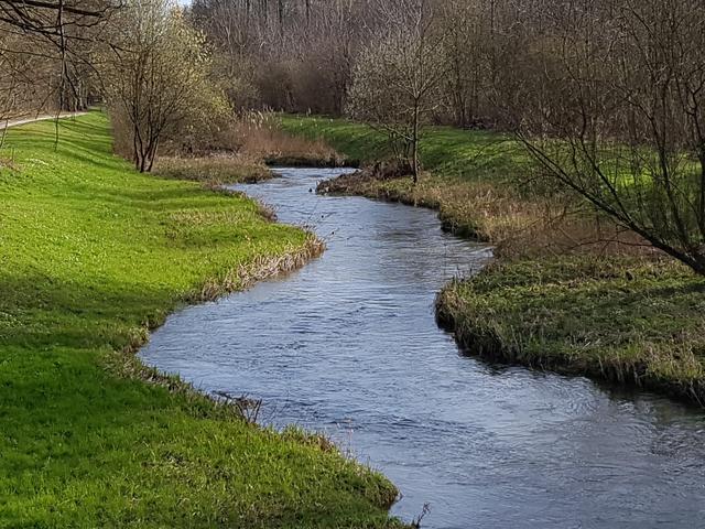 Bachlauf bei Legelshurst | Foto: UB