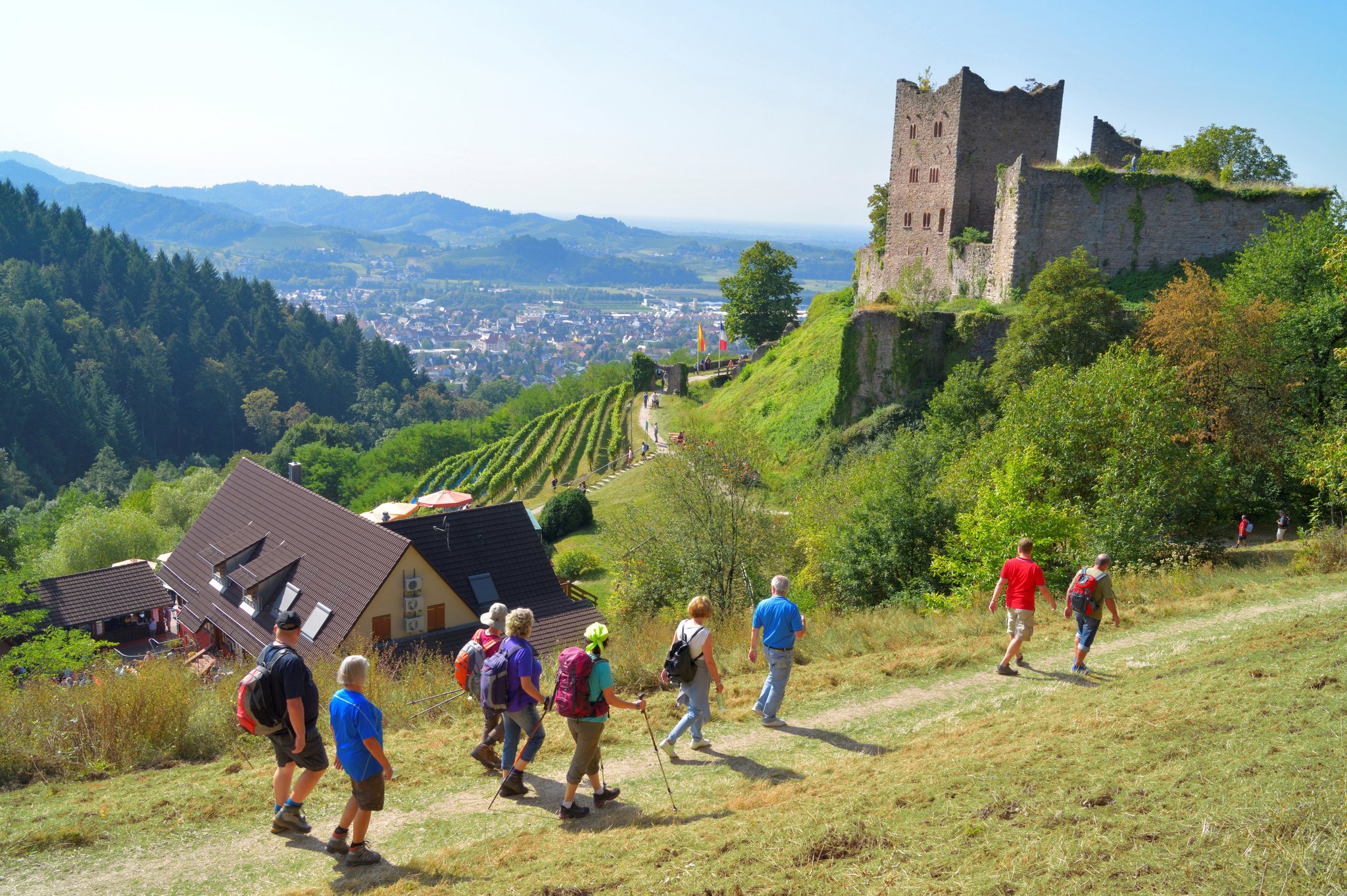 Hygieneanforderungen nicht erfüllbar Kulinarische Weinwanderung fällt