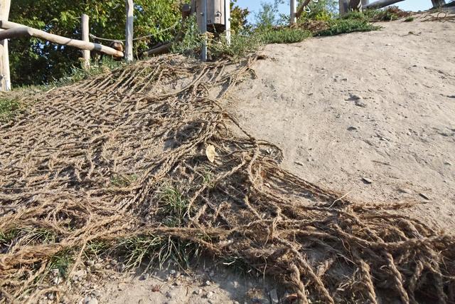 Das Schutznetz, das vor Erosion schützen soll, muss ausgetauscht werden. | Foto: Stadt Kehl