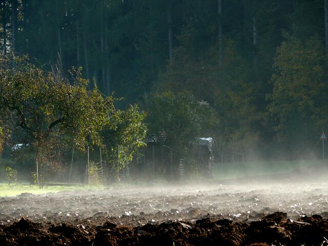 Morgendunst liegt über der gepflügten Ackerscholle. | Foto: Alfred Schramm