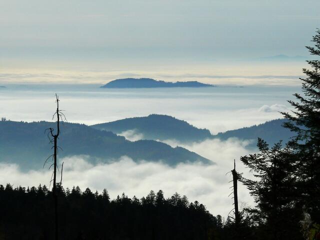 "Nebelinseln" Solche Bilder kann man u.a. von der Hornisgrinde aus machen, bei den sogenannten Inversionswetterlagen.  | Foto: Alfred Schramm