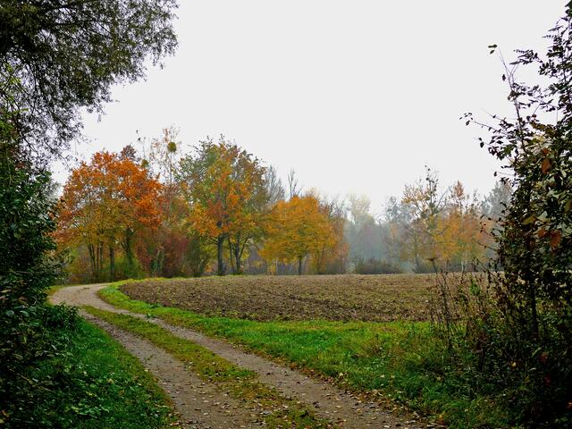 In der bunten Jahreszeit einen Spaziergang in Wald und Flur zu machen tut gut für den Körper und die Seele und ist eine wahre Augenweide.  | Foto: Alfred Schramm