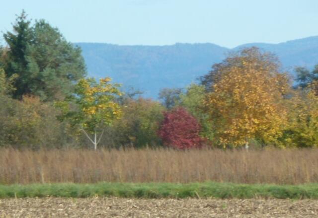 Farbakzente | Foto: UB
