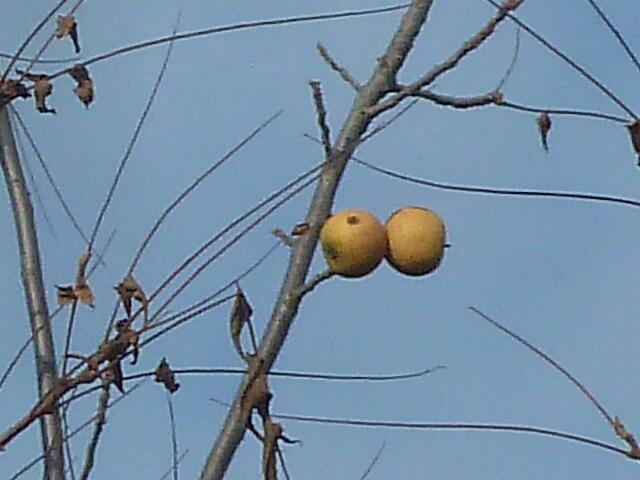 Auf ewig mit dir vereint | Foto: UB