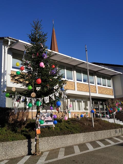 Prächtig sieht er aus, der Narrenbaum.