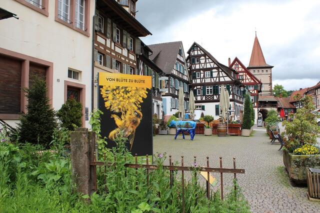 Üppig angelegte Beete bieten den Bienen Nahrung. | Foto: Stadt Gengenbach