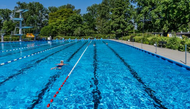 In Doppelreihen geht es rauf und runter durch Becken. | Foto: Stadt Kehl