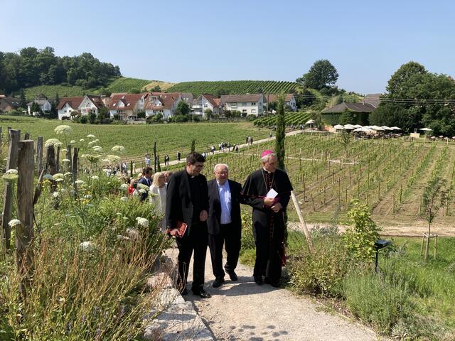 Über einen Serpentinenweg geht es zum Turm. | Foto: gro