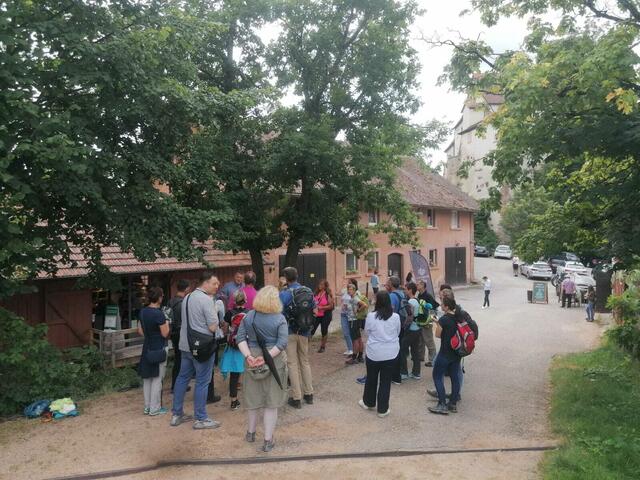 Einkehr auf Schloss Staufenburg beim Weingut Markgraf von Baden | Foto: Tourist-Info Durbach