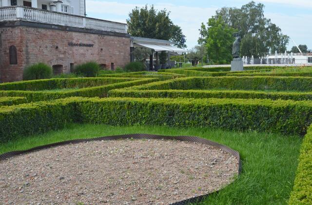 Wildblumenwiese im Entstehen: „Hier wird es bald ebenso bunt blühen, die Pflanzen brauchen noch etwas Zeit“, erklärt Frank Wagner.  | Foto: Stadt Kehl