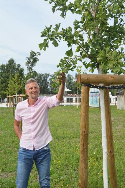 Auf einem Grünstreifen neben der Villa Schmidt wurden Bäume gepflanzt, die auch höhere Temperaturen gut vertragen. | Foto: Stadt Kehl