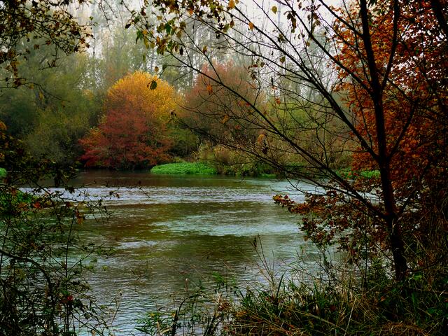 Farbenspiel am Altrhein bei Neuried-Altenheim. | Foto: Alfred Schramm