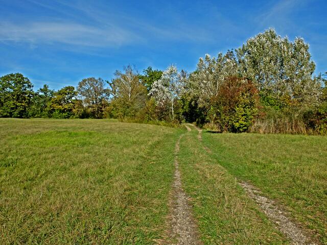 Einer der Wege über die sogenannte “Orchideenwiese” die zum blauen Loch führen. | Foto: Alfred Schramm