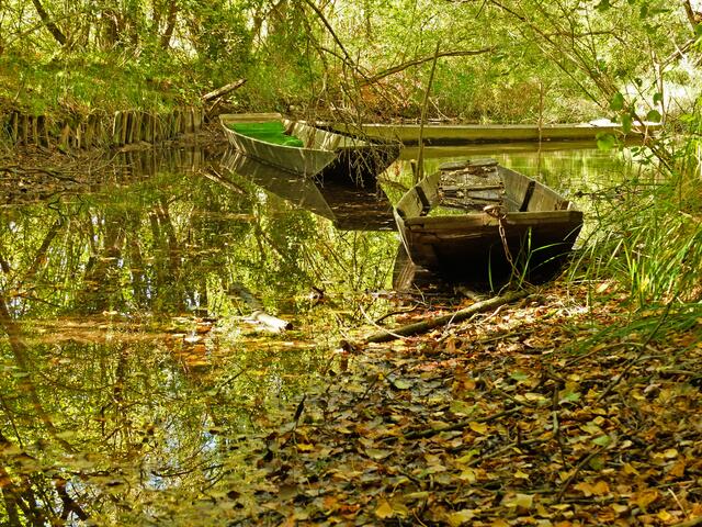 In den Nischen der Altrheinarme, hier bei der "Saukopfbrücke", bieten sich die Flachkähne stets als Fotomotiv an. | Foto: Alfred Schramm