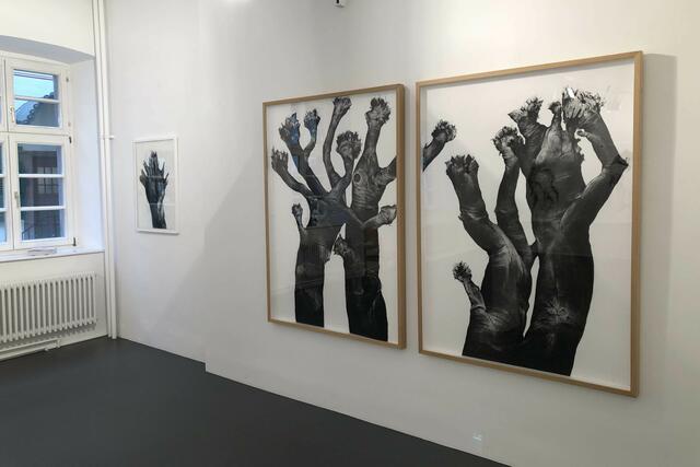 Foto: Ulrich Reich/Stadt Oberkirch 