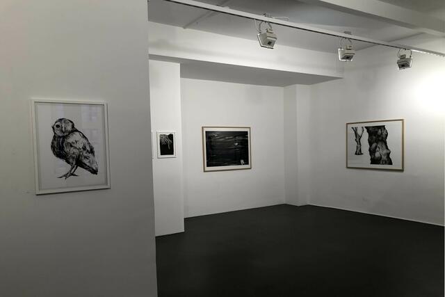 Foto: Ulrich Reich/Stadt Oberkirch 