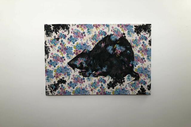 Auf Einladung von Kurator Rainer Braxmaier zeigt Haleh Zahedi aktuelle Arbeiten in der Städtischen Galerie Oberkirch. Die Ausstellung kann bis zum 5. Juni 2022 zu den üblichen Öffnungszeiten besucht werden.  | Foto: Ulrich Reich/Stadt Oberkirch 