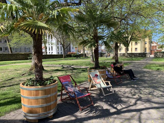 Der Klostergarten bietet mediterranes Flair. | Foto: Stadt Haslach
