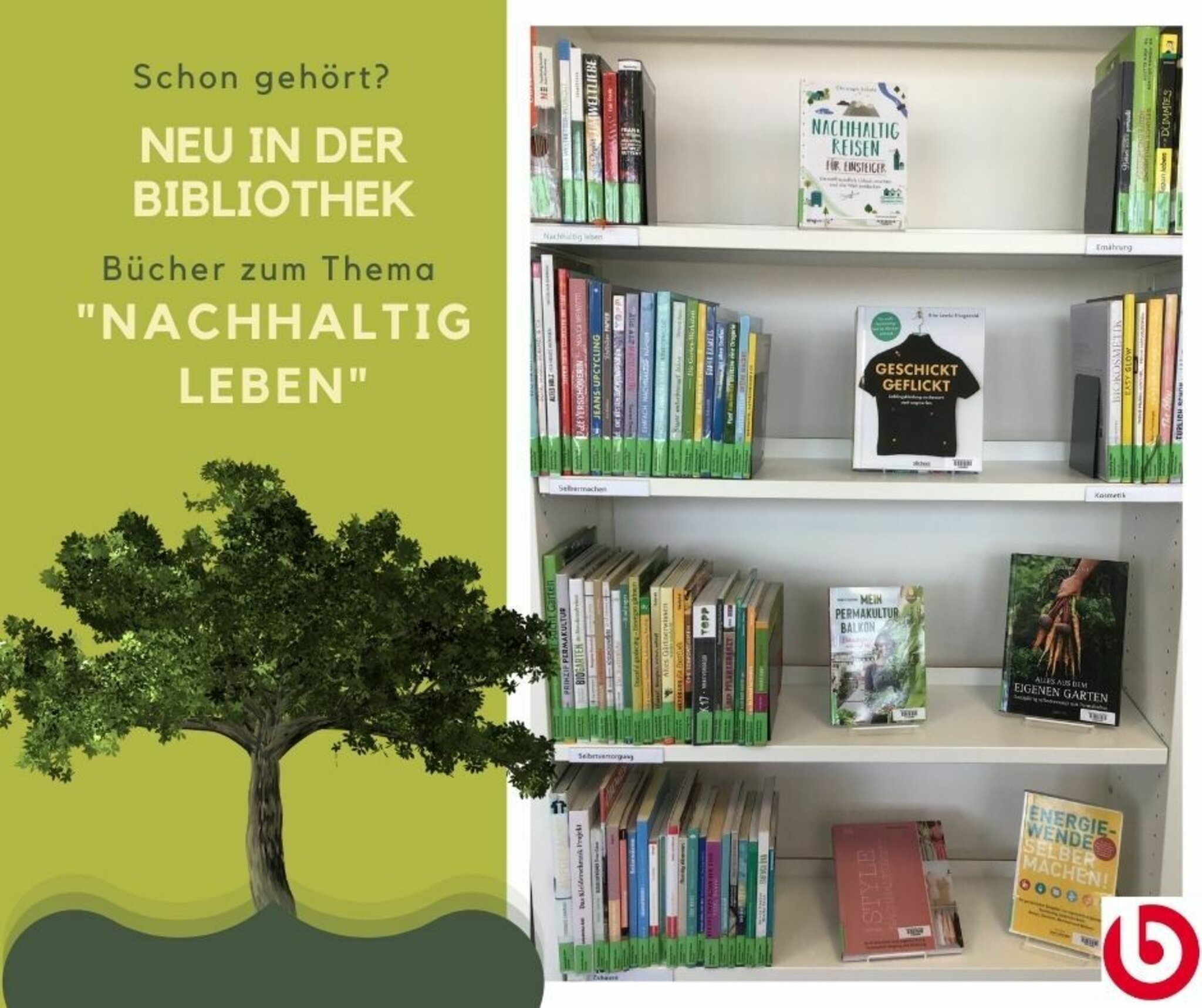 Thema Nachhaltigkeit: Neue Medien in der Stadtbibliothek - Achern