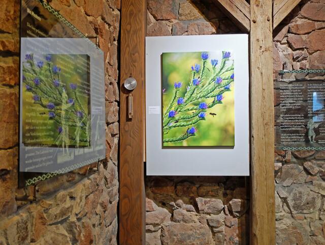 Fotografie von Claudia Lehmann. | Foto: Alfred Schramm