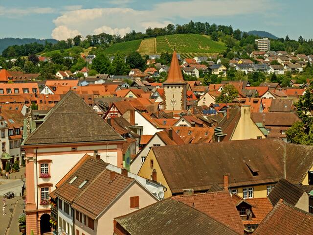 Blick von der Türmerstube, über die Dächer der Stadt. | Foto: Alfred Schramm