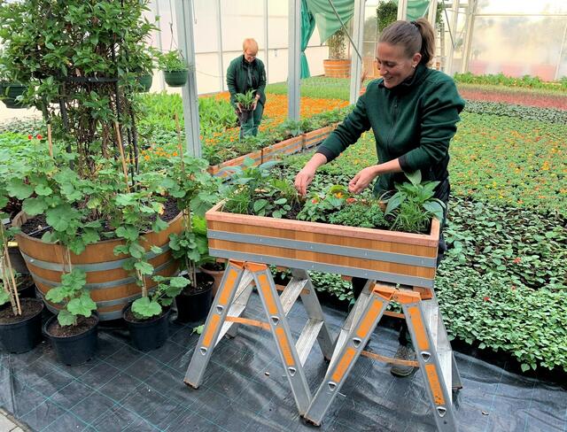 Hanni Schmider (hinten) und Marianne Fix von der Stadtgärtnerei bereiten die neuen Geländerkästen für die Saison vor. Und auch hier wird das Augenmerk auf verbesserte ökologische Anforderungen gelegt; denn wie die Großkübel sind auch diese Kästen mit wasserspeicherndem natürlichen vulkanischen Gesteinsmaterial grundgefüllt, erst dann folgt eine spezielle Containersubstratschicht. | Foto: Stadt Haslach