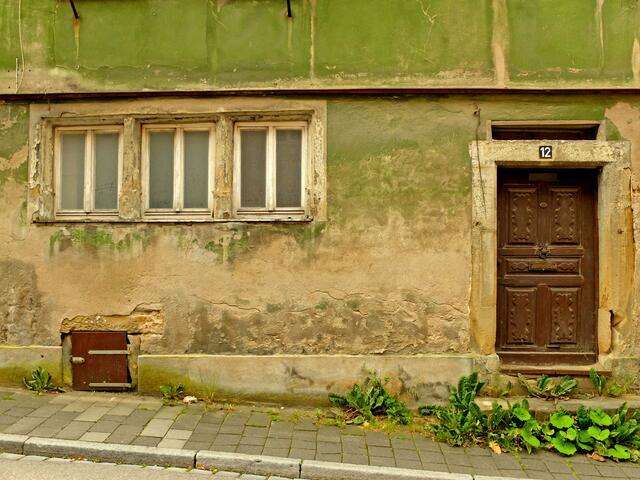 Es grünt so grün bei Hausnummer 12. Allerdings nicht "Spaniens Blüten".  | Foto: Alfred Schramm