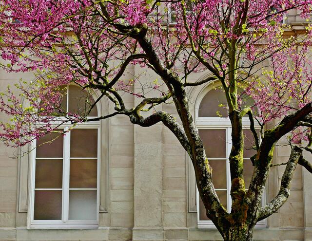 Zwei Rundbogenfenster der "Caracalla Therme" in Baden-Baden. | Foto: Alfred Schramm