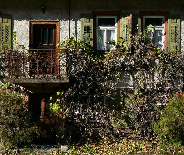 Schloss von Dornröschen??? | Foto: Alfred Schramm