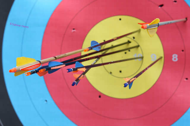 So sieht ein fast perfektes Trefferbild aus. | Foto: ©Sabine Herm