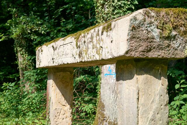 Foto: (c) Gerhard Große