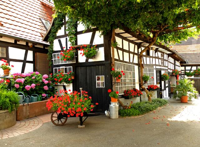 Blumenschmuck in einem Hinterhof im elsässischen Seebach. | Foto: Alfred Schramm