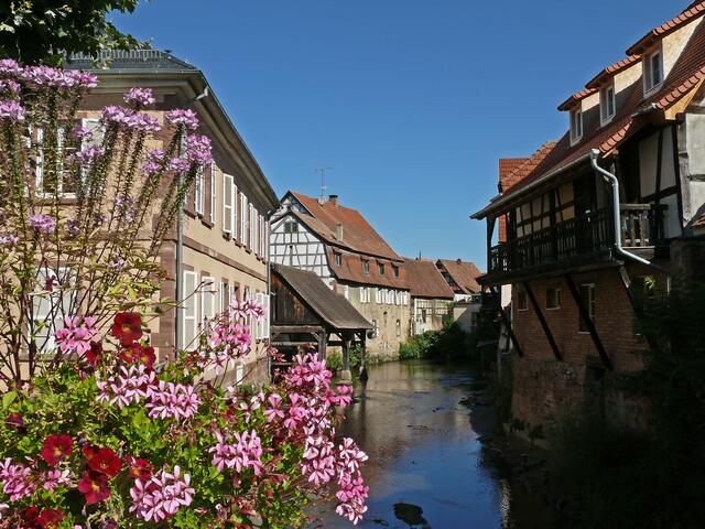 Fachwerkidylle an der Sauer im nordelsäsischen Woerth. | Foto: Alfred Schramm