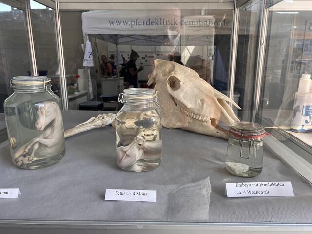 Foto: Isabel Obleser