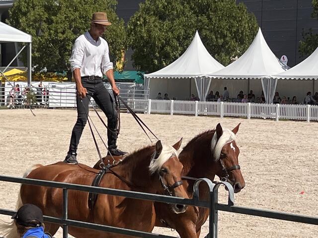 Foto: Isabel Obleser