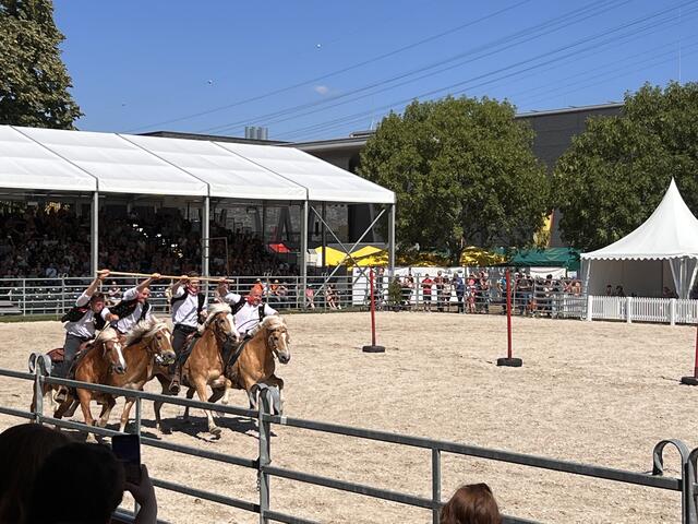 Foto: Isabel Obleser