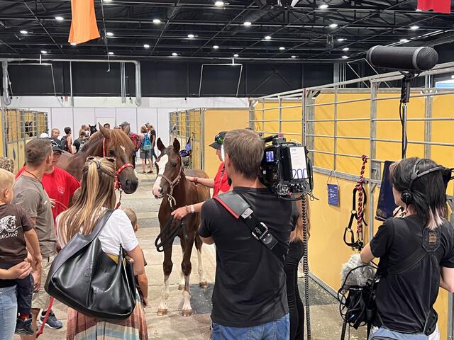 Foto: Isabel Obleser