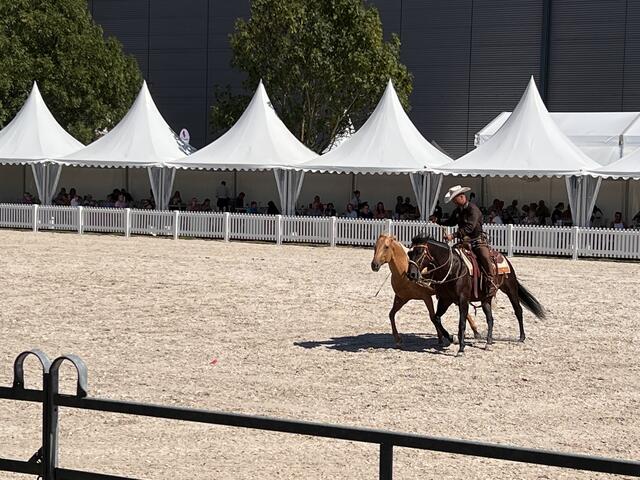 Foto: Isabel Obleser